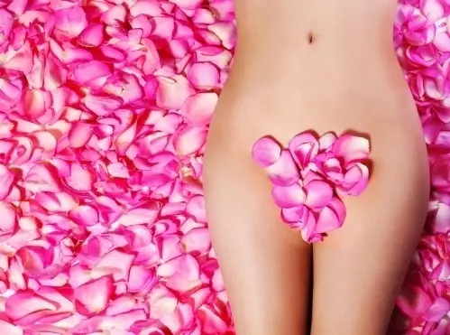 Belles et douces comme les roses ! à Genève