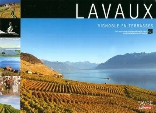 Festival en naissance cherche groupes DJ à Bourg en Lavaux