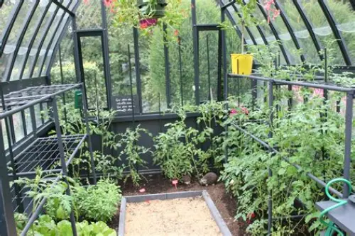 Terrain agricole potager lopin toit Genève serre à Genève