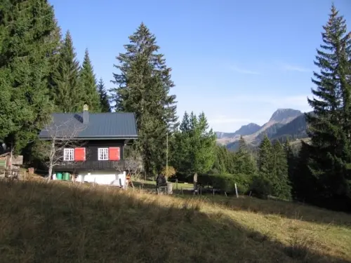 Chalet Paccots Les Joncs sans voisins à Les Paccots