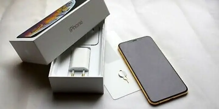 Apple iPhone XS Max - 256 Go - Or