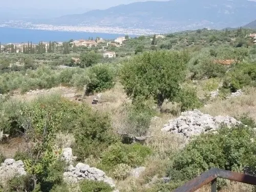 terrain constructible a doli en grece à kalamata